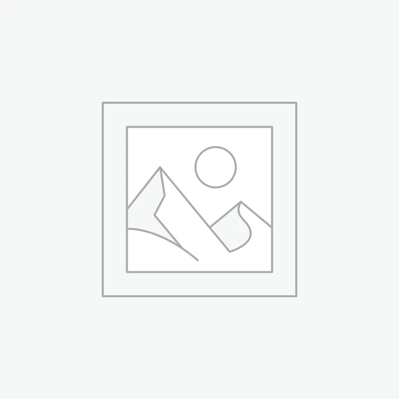 Continental Conti-WinterContact TS 830 P R01 FR XL winterband – 295/35 R19 104W